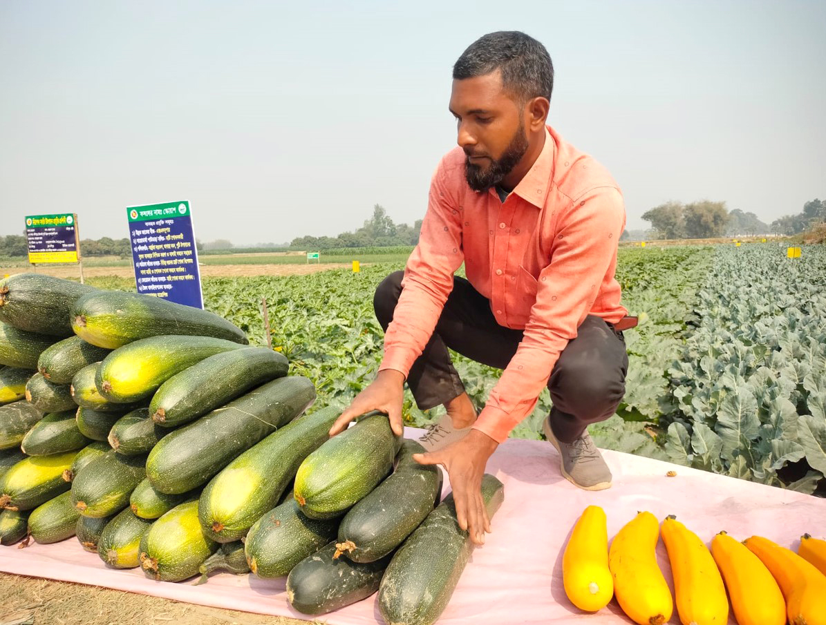 স্কোয়াশ চাষে সফল দিনাজপুরের এখলেসুর