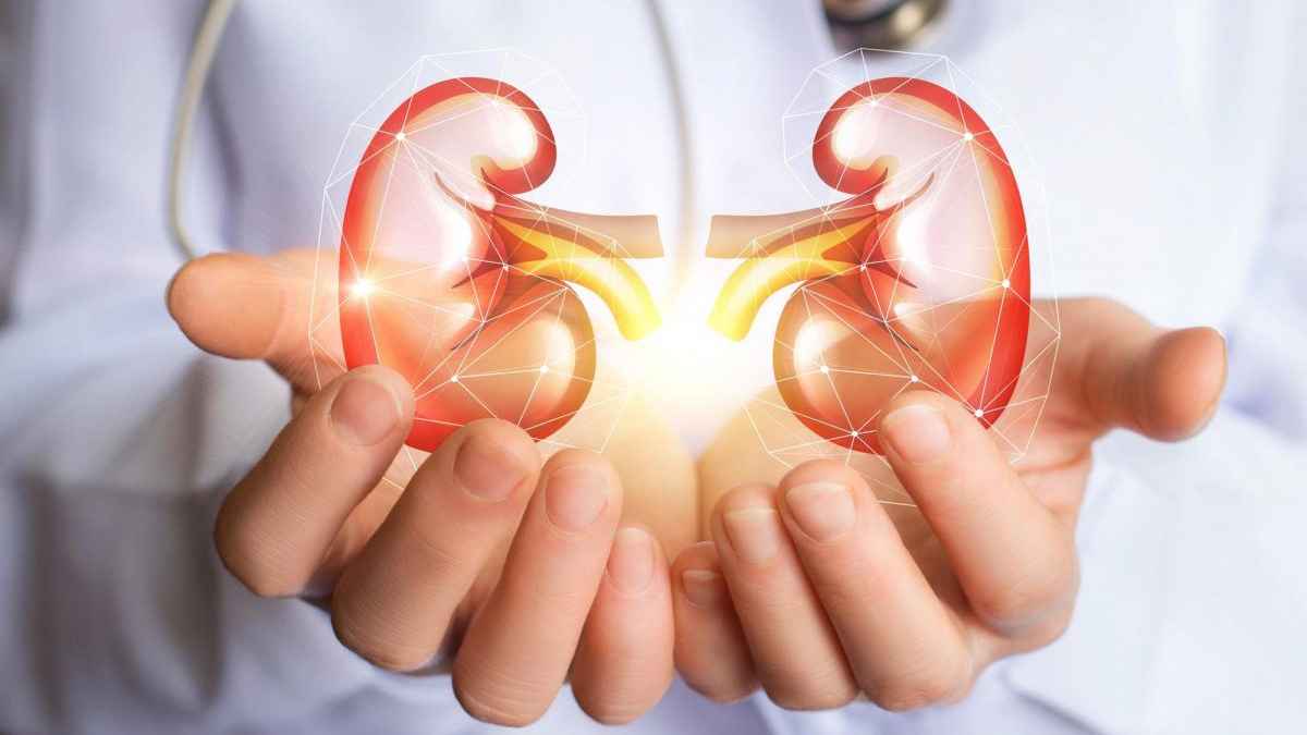 কিডনি নষ্ট হওয়ার আগে এসব লক্ষণ দেখা যায়