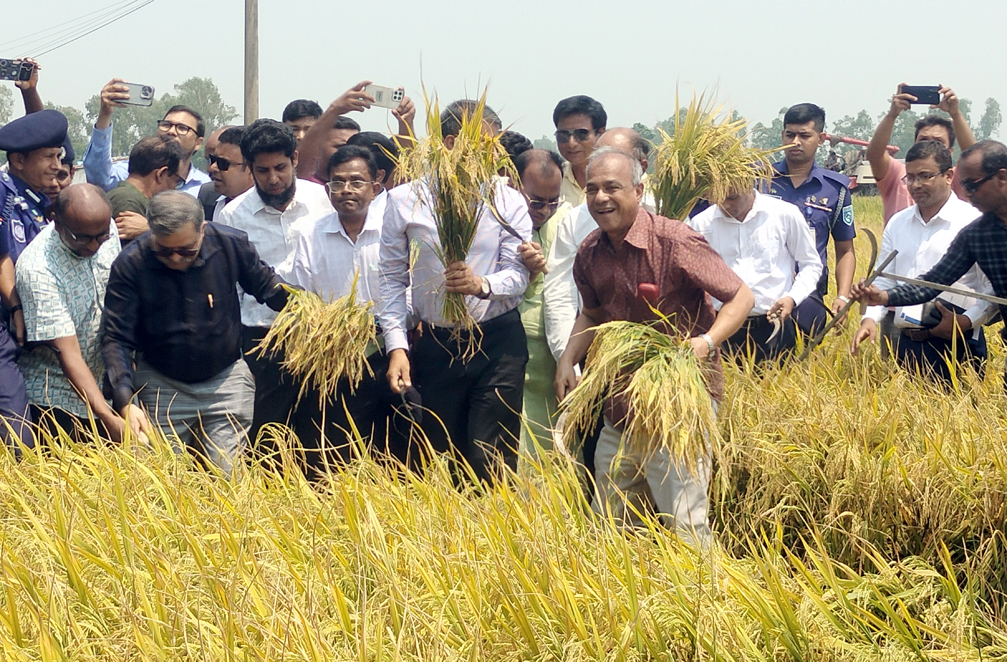ধান কাটছেন কৃষি উপদেষ্টা। দেশের বর্ডার সম্পূর্ণ সুরক্ষিত: স্বরাষ্ট্র উপদেষ্টা
