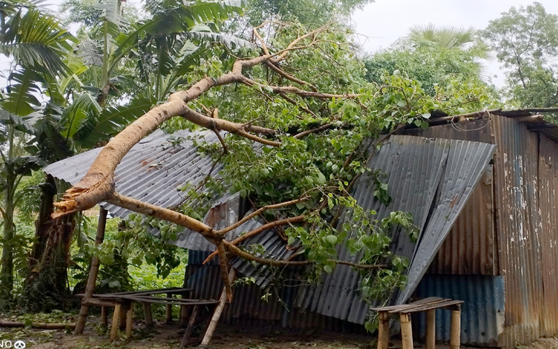 বোচাগঞ্জ কাল বৈশাখী ঝড়ে ব্যাপক ক্ষয়ক্ষতি